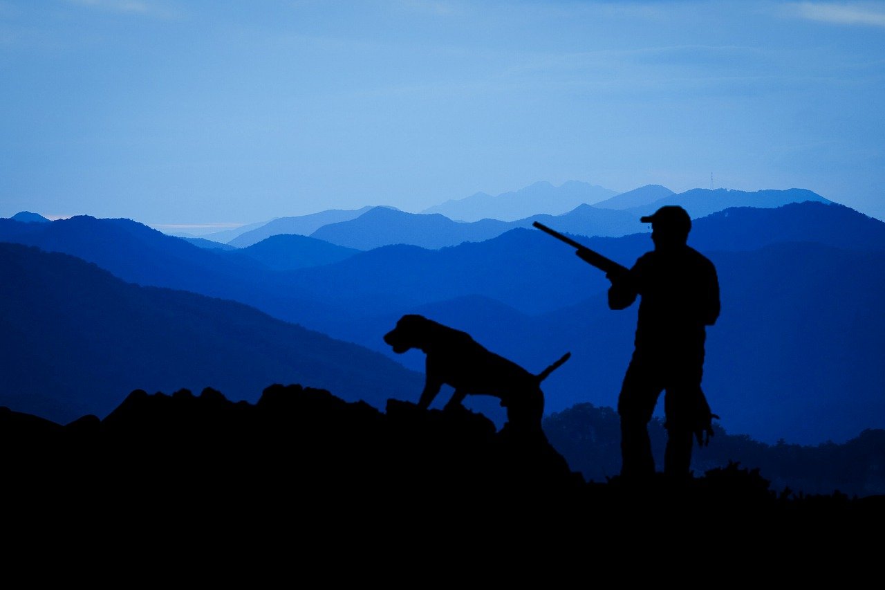 silhouette of mountain range, dog and man hunting with rifle